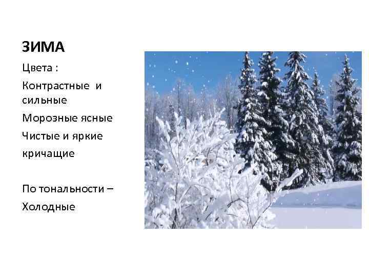 ЗИМА Цвета : Контрастные и сильные Морозные ясные Чистые и яркие кричащие По тональности