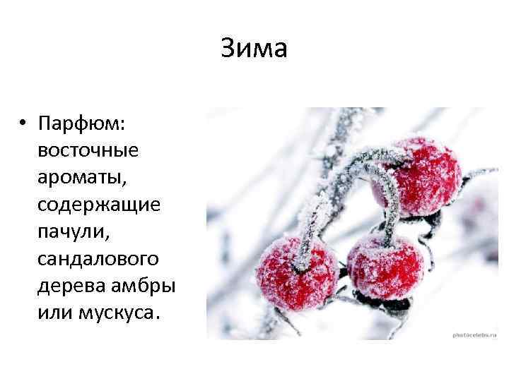 Зима • Парфюм: восточные ароматы, содержащие пачули, сандалового дерева амбры или мускуса. 