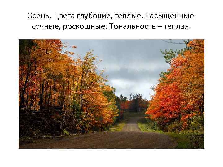 Осень. Цвета глубокие, теплые, насыщенные, сочные, роскошные. Тональность – теплая. 