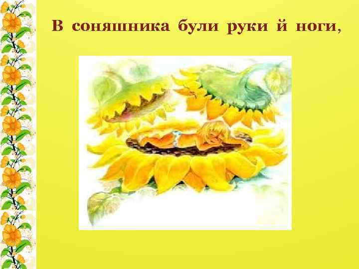 В соняшника були руки й ноги, 
