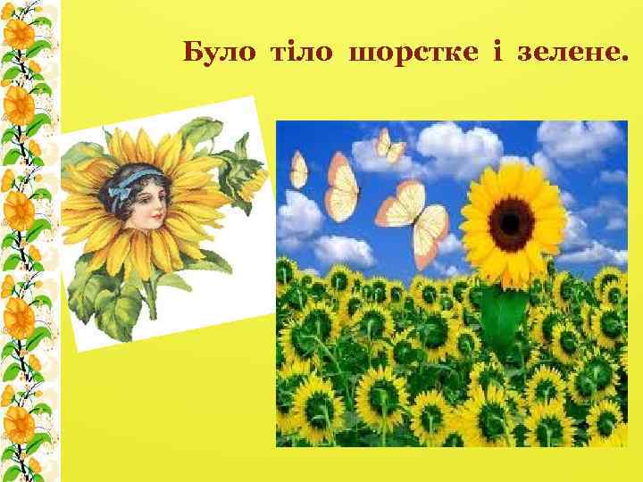 Було тіло шорстке і зелене. 