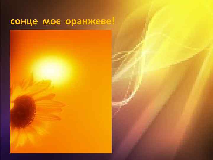 сонце моє оранжеве! 
