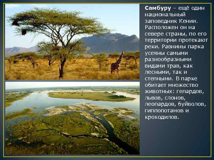 Самбуру – ещё один национальный заповедник Кении. Расположен он на севере страны, по его