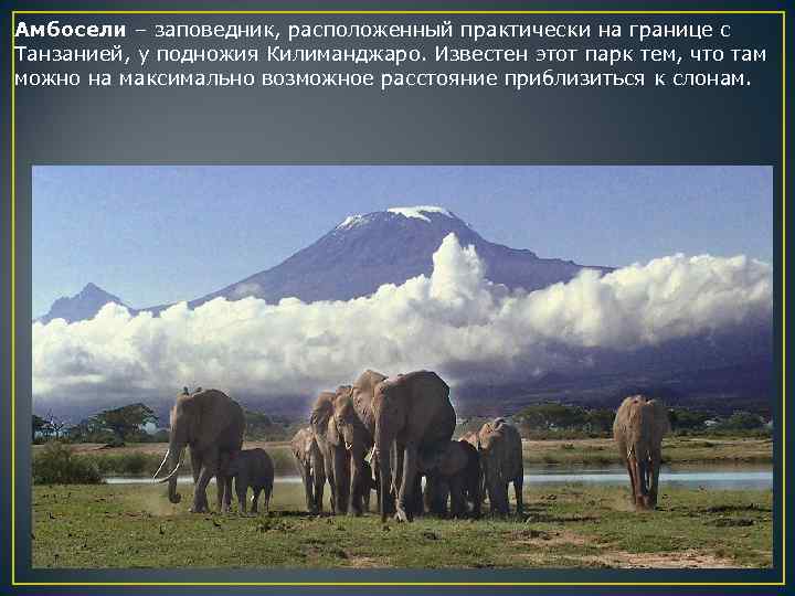 Амбосели – заповедник, расположенный практически на границе с Танзанией, у подножия Килиманджаро. Известен этот