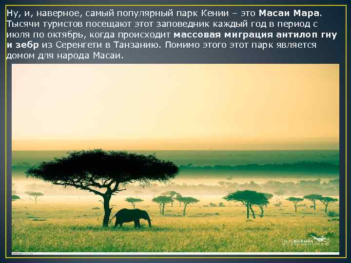 Ну, и, наверное, самый популярный парк Кении – это Масаи Мара. Тысячи туристов посещают