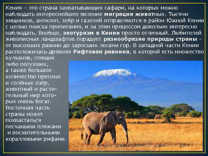 Кения – это страна захватывающих сафари, на которых можно наблюдать интереснейшее явление миграции животных.