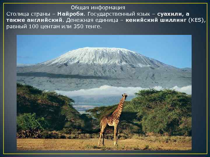  Общая информация Столица страны – Найроби. Государственный язык – суахили, а также английский.