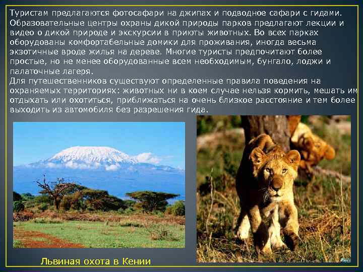 Туристам предлагаются фотосафари на джипах и подводное сафари с гидами. Образовательные центры охраны дикой