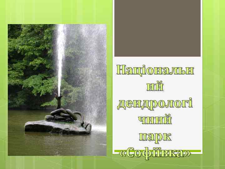 Національн ий дендрологі чний парк «Софіївка» 
