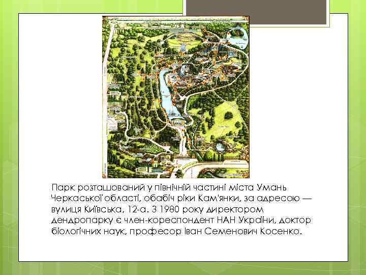 Парк розташований у північній частині міста Умань Черкаської області, обабіч ріки Кам'янки, за адресою