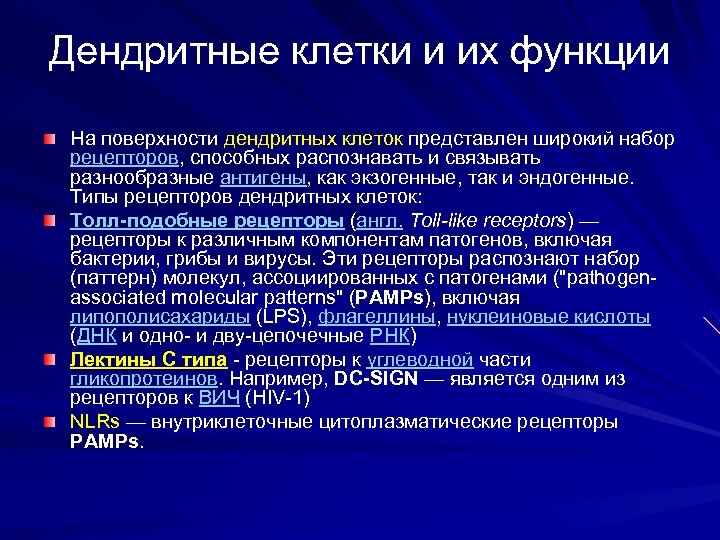 Дендритные клетки и их функции На поверхности дендритных клеток представлен широкий набор рецепторов, способных