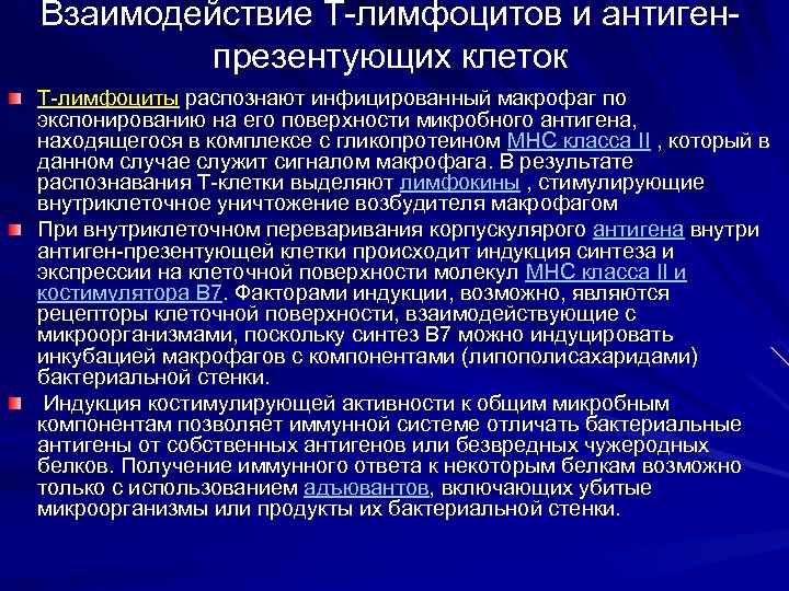 Взаимодействие Т-лимфоцитов и антигенпрезентующих клеток T-лимфоциты распознают инфицированный макрофаг по экспонированию на его поверхности