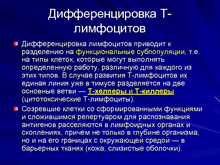 Дифференцировка Тлимфоцитов Дифференцировка лимфоцитов приводит к разделению на функциональные субпопуляции, т. е. на типы