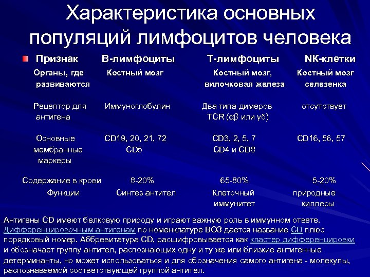 Характеристика основных популяций лимфоцитов человека Признак В-лимфоциты Т-лимфоциты NК-клетки Органы, где Костный мозг Костный