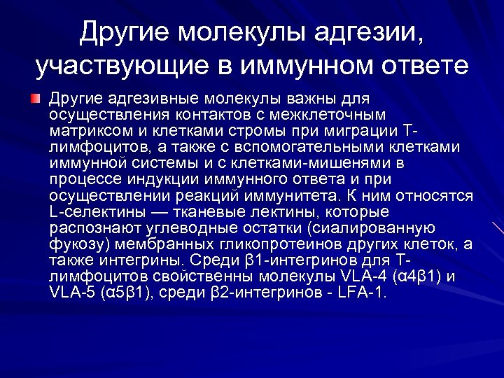 Другие молекулы адгезии, участвующие в иммунном ответе Другие адгезивные молекулы важны для осуществления контактов