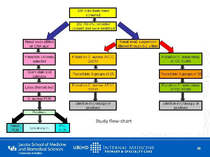 Study flow-chart 16 