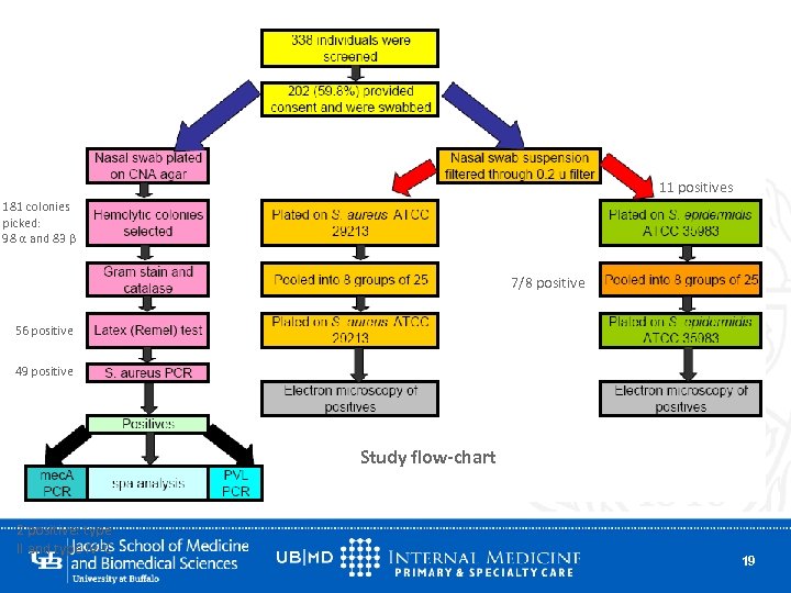 11 positives 181 colonies picked: 98 α and 83 β 7/8 positive 56 positive