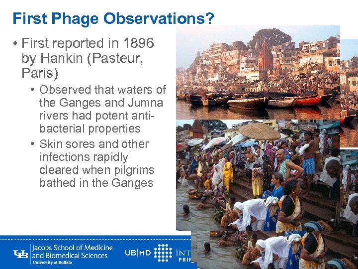 First Phage Observations? • First reported in 1896 by Hankin (Pasteur, Paris) • Observed