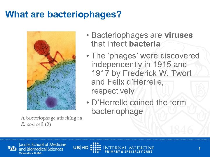 What are bacteriophages? A bacteriophage attacking an E. coli cell (2) • Bacteriophages are