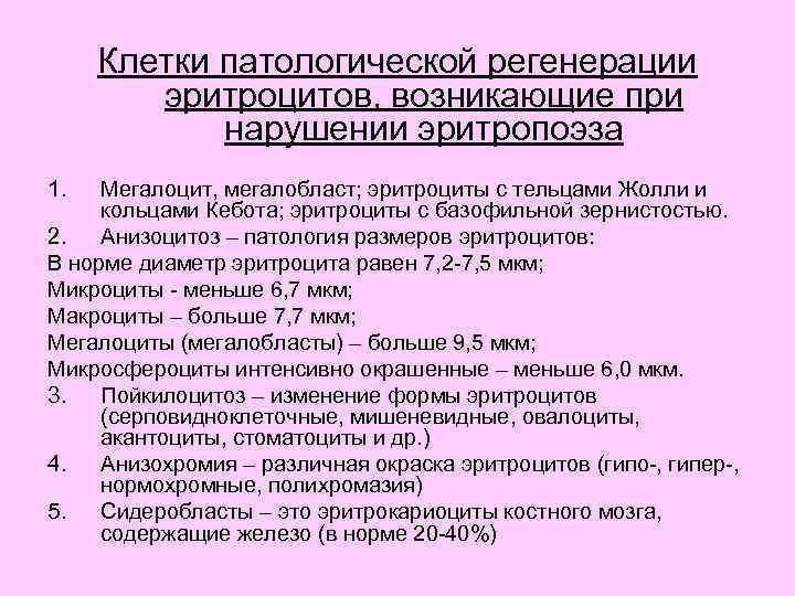 Клетки патологической регенерации эритроцитов, возникающие при нарушении эритропоэза 1. Мегалоцит, мегалобласт; эритроциты с тельцами