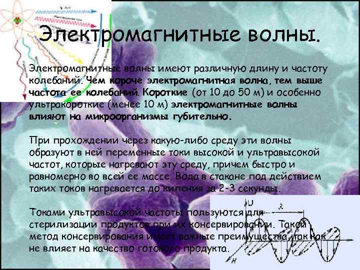 Электромагнитные волны имеют различную длину и частоту колебаний. Чем короче электромагнитная волна, тем выше
