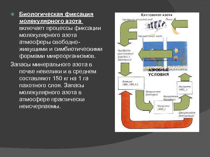 Процесс трансформации