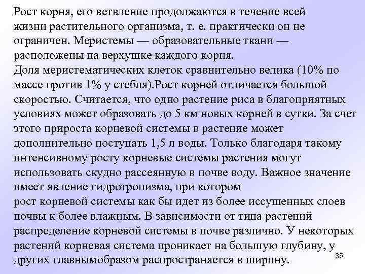 Рост корня, его ветвление продолжаются в течение всей жизни растительного организма, т. е. практически