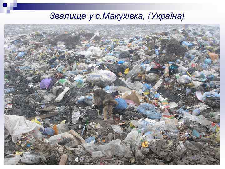 Звалище у с. Макухівка, (Україна) 