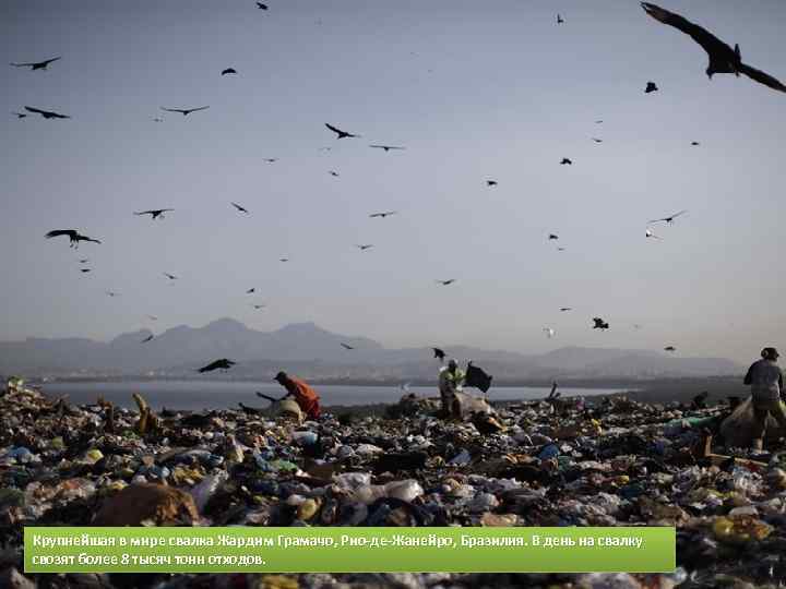 Крупнейшая в мире свалка Жардим Грамачо, Рио-де-Жанейро, Бразилия. В день на свалку свозят более
