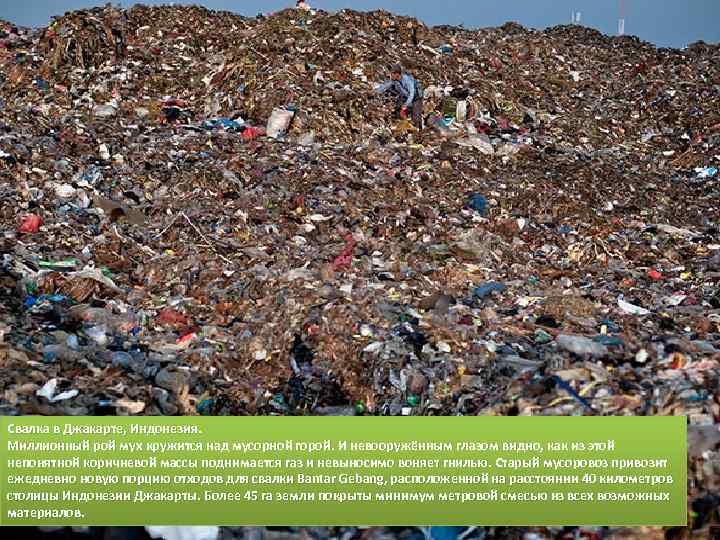 Свалка в Джакарте, Индонезия. Миллионный рой мух кружится над мусорной горой. И невооружённым глазом
