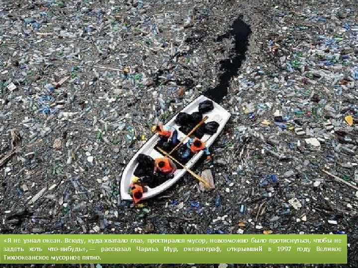  «Я не узнал океан. Всюду, куда хватало глаз, простирался мусор, невозможно было протиснуться,