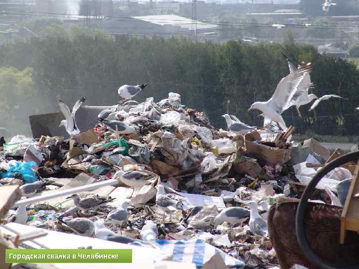 Городская свалка в Челябинске 