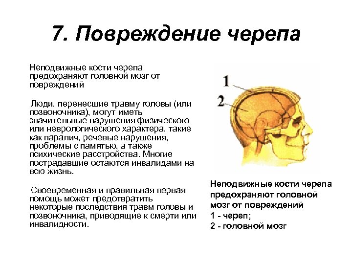 7. Повреждение черепа Неподвижные кости черепа предохраняют головной мозг от повреждений Люди, перенесшие травму