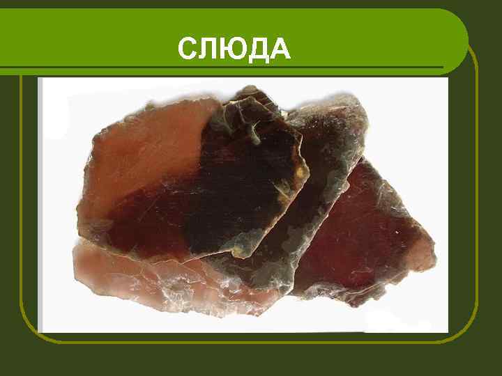 СЛЮДА 