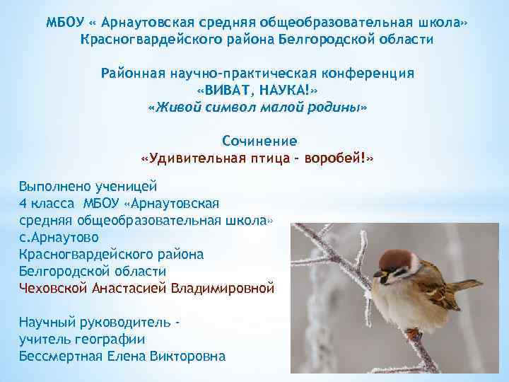 МБОУ « Арнаутовская средняя общеобразовательная школа» Красногвардейского района Белгородской области Районная научно-практическая конференция «ВИВАТ,