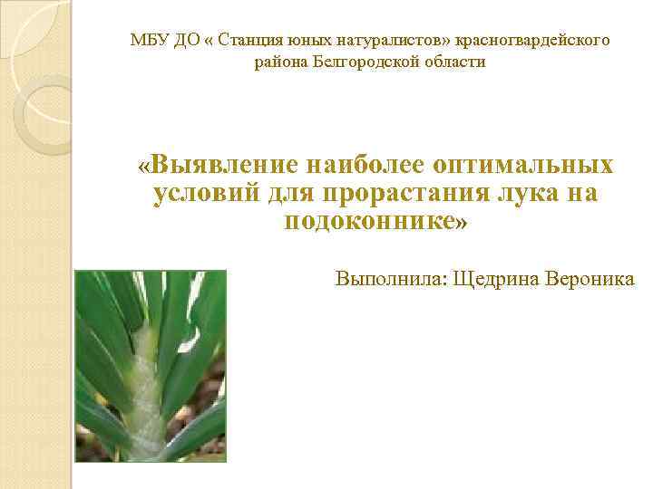 МБУ ДО « Станция юных натуралистов» красногвардейского района Белгородской области «Выявление наиболее оптимальных условий