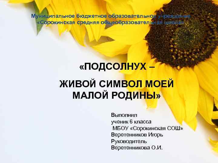 Муниципальное бюджетное образовательное учреждение «Сорокинская средняя общеобразовательная школа» «ПОДСОЛНУХ – ЖИВОЙ СИМВОЛ МОЕЙ МАЛОЙ