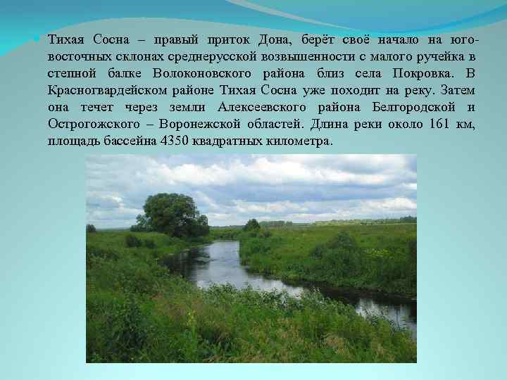 Река Тихая сосна Белгородской области. Исток реки Тихая сосна. Впадение реки Тихая сосна в Дон.