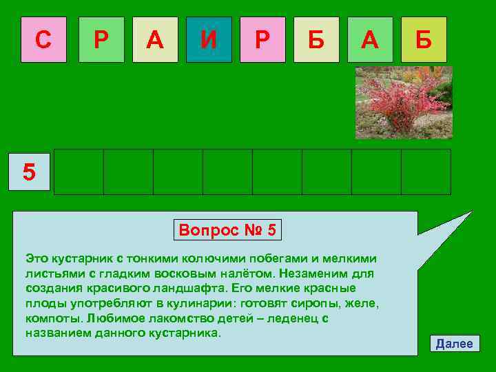 С Р А И Р Б А Б 5 Вопрос № 5 Это кустарник