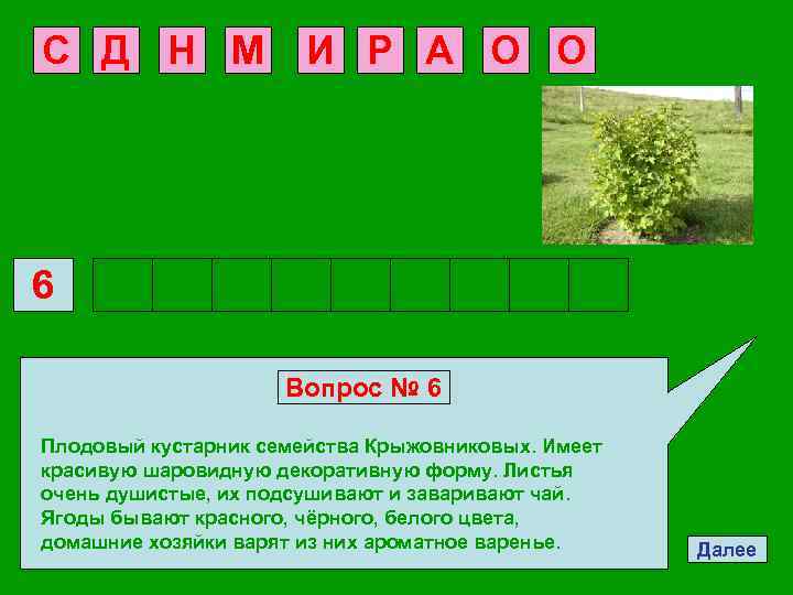 С Д Н М И Р А О О 6 Вопрос № 6 Плодовый