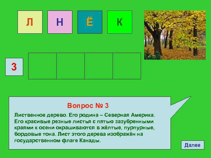Л Н Ё К 3 Вопрос № 3 Лиственное дерево. Его родина – Северная