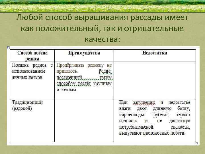 Любой способ выращивания рассады имеет как положительный, так и отрицательные качества: 