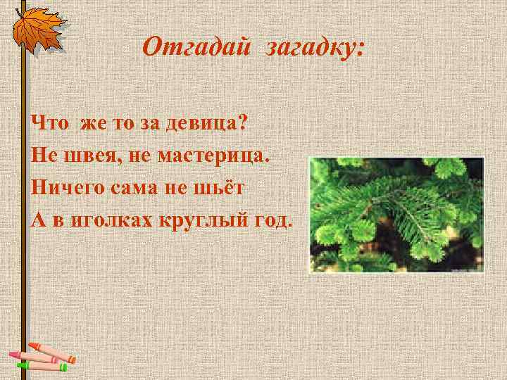 Отгадай загадку: Что же то за девица? Не швея, не мастерица. Ничего сама не