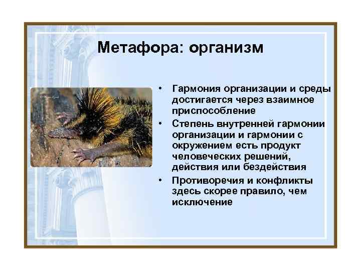 Метафора: организм • Гармония организации и среды достигается через взаимное приспособление • Степень внутренней