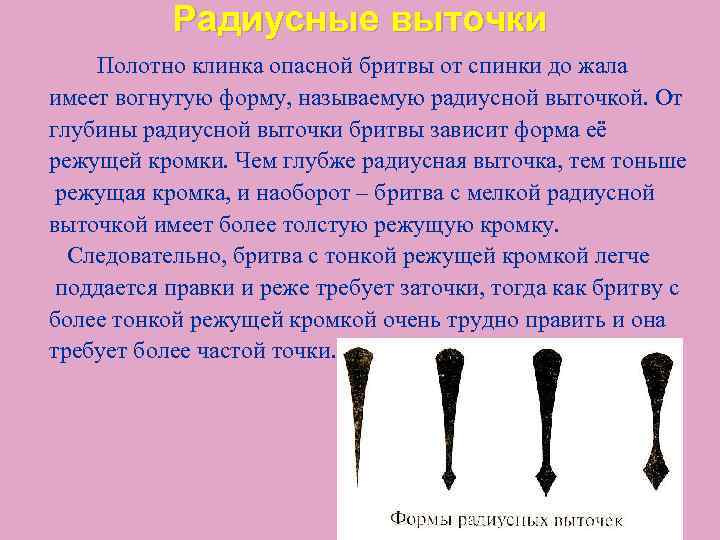 Радиусные выточки Полотно клинка опасной бритвы от спинки до жала имеет вогнутую форму, называемую