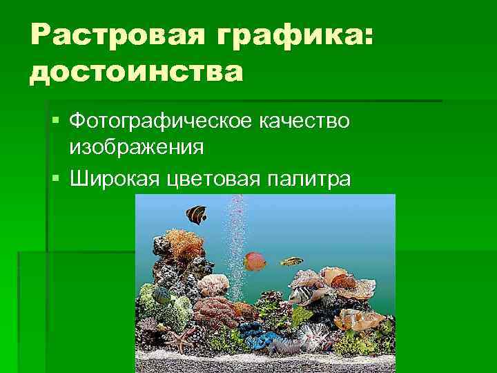 Растровая графика: достоинства § Фотографическое качество изображения § Широкая цветовая палитра 