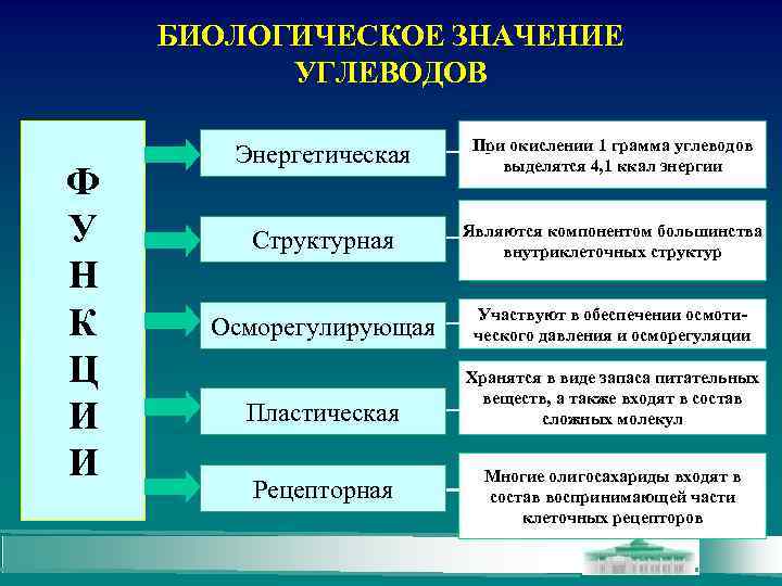 БИОЛОГИЧЕСКОЕ ЗНАЧЕНИЕ УГЛЕВОДОВ Ф У Н К Ц И И Энергетическая При окислении 1
