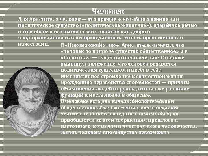 Аристотель взгляд на природу. Человек по Аристотелю. Личность Аристотеля. Аристотель человек существо политическое. Природа человека по Аристотелю.