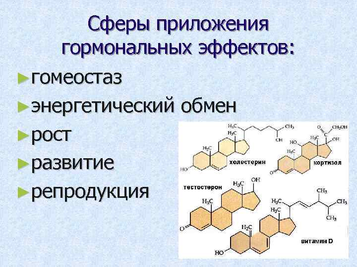 Сферы приложения гормональных эффектов: ►гомеостаз ►энергетический обмен ►рост ►развитие ►репродукция 