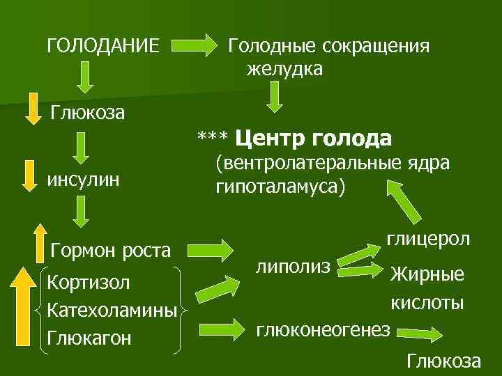 ГОЛОДАНИЕ Глюкоза инсулин Гормон роста Кортизол Катехоламины Глюкагон Голодные сокращения желудка *** Центр голода